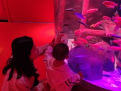 -沈阳海洋探索中心