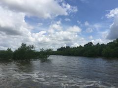 -东寨港红树林旅游区