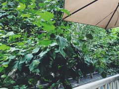 -Ginger(兴国路店)