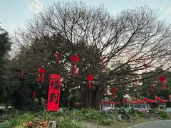 -南宁南湖公园