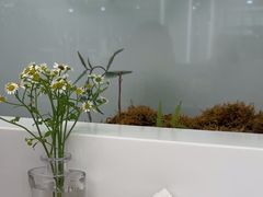 -大树餐厅(万达创始店)