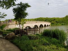 -昆山城市生态森林公园