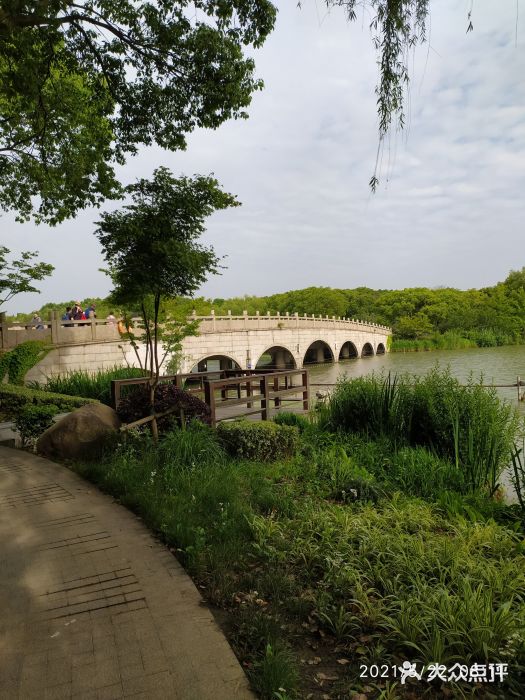 昆山城市生态森林公园图片