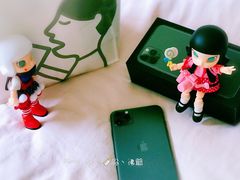 -Apple零售店(中街大悦城店)