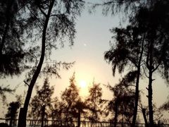 -宝安西湾红树林湿地公园