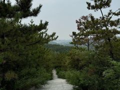 -五龙城郊森林公园