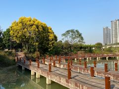 -广西壮族自治区药用植物园