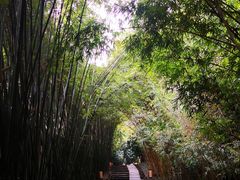 -宝光寺