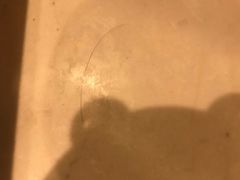 -诸暨耀江开元名都大酒店