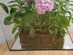 -春树下·树屋花房西餐厅(罍街AS1980店)