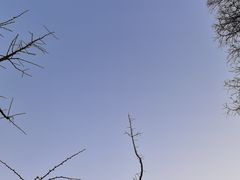 -前小桔亲子创意农场·草莓采摘·露营烧烤