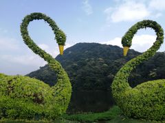 -广州市石门国家森林公园