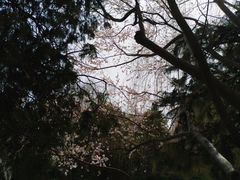-团结湖公园