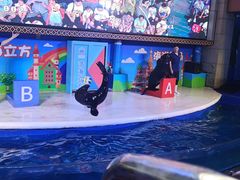 -成都浩海立方海洋公园