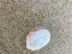 -北海金海湾红树林生态旅游区