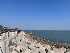 -东堤公园