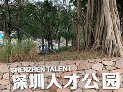 -深圳人才公园