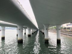 -演武大桥观景平台