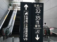 -虹桥机场国航贵宾室v8