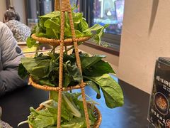 -华冠悠岚·庭院餐厅(青城后山店)