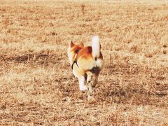 -瀛海足球主题公园