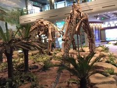 -自贡恐龙博物馆