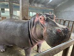 -济南野生动物世界