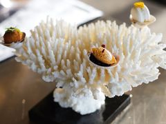 -深圳文华东方酒店·OPUS 388·精致法餐