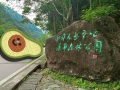 -姑婆山旅游区