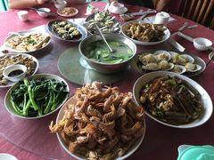 -大湾区中央湿地公园-十九涌