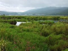 -腾冲北海湿地