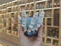 -万达广场(济南高新店)