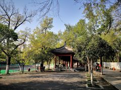 -莲湖公园