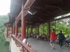-重庆彩云湖湿地公园