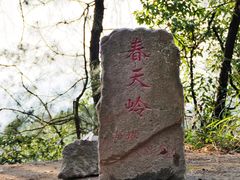 -大金鹰园