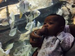 -多彩贵州城极地海洋世界