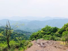 -西湖风景区十里琅珰-五云山