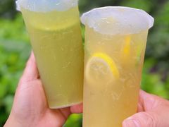 -快乐柠檬happylemon(日月光店)