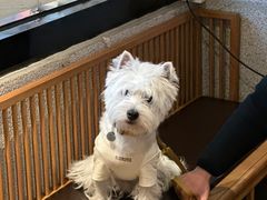 -蚝翅·海鲜粥·烧烤·羊肉季(鄞州万达店)