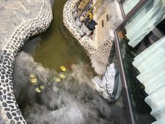 -呼吸森林·生态农庄农家乐私房菜