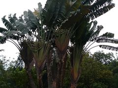 -红色娘子军纪念园