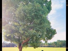 -山明水秀大饭店