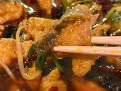 -清真·拉菲尔鱼庄·家常菜(钟楼回民街店)
