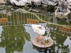 -龙华寺