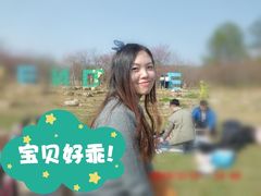 -天适樱花悠乐园