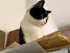 -原田新料理(1912店)