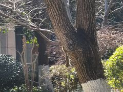 -浙江西子宾馆·瑶园咖啡厅