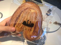 -BLACKSWAN黑天鹅(环球店)