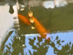 -江南第一家