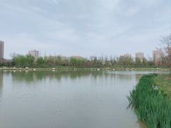 -西安世博园